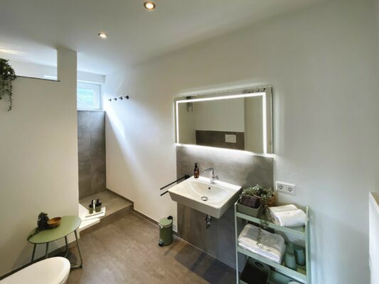 MainZauber Apartments früher MainTerrasse Miltenberg am Main - Erleben Sie den Inbegriff von Komfort und Stil in unserer luxuriösen Ferienwohnung mit einem modernen Badezimmer, das Ihren Aufenthalt noch angenehmer macht. Genießen Sie einen geräumigen Duschbereich, der nach einem Tag voller Abenteuer zum Entspannen einlädt. Der beleuchtete Spiegel über dem makellos weißen Waschbecken bietet perfekte Beleuchtung für alle Ihre Bedürfnisse, während der Handtuchhalter mit ordentlich gestapelten Handtüchern für Komfort während Ihres gesamten Aufenthalts sorgt. Ein schicker runder Beistelltisch hält alle wichtigen Toilettenartikel in Reichweite. Ein Hauch von Grün trägt zur ruhigen Atmosphäre bei und bringt Natur in diesen hellen und minimalistischen Wohnbereich – ideal für Reisende, die einen eleganten und gemütlichen Rückzugsort in einer Ferienwohnung suchen.