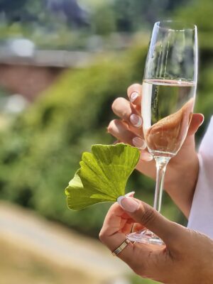 MainZauber Apartments Miltenberg am Main - Stellen Sie sich vor, Sie halten ein Glas Sekt in der einen Hand und ein frisches grünes Blatt in der anderen, umgeben von der ruhigen Schönheit üppigen Grüns. Diese Szene fasst das Erlebnis, das Sie in unserem luxuriösen Ferienapartment erwartet, perfekt zusammen. Unsere Premium-Unterkunft bietet nicht nur einen Ort zum Verweilen, sondern einen exquisiten Rückzugsort in die Eleganz der Natur. Egal, ob Sie Entspannung oder Abenteuer suchen, unser luxuriöses Urlaubsapartment bietet die perfekte Kulisse für einen unvergesslichen Kurzurlaub. Buchen Sie noch heute Ihren Traumurlaub und tauchen Sie ein in unvergleichlichen Komfort und Schönheit!